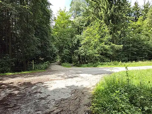 Weggabelung im Sollacher Forst