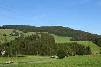 Die Weißtannenhöhe von Tiefen im Westen aus