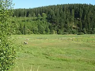 Talgrund unterhalb des Ortes Benfe mit Blick auf den Berg "Weibelskopf"