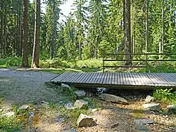 Die Weil, etwa 200&nbsp;m südlich des Kastells Kleiner Feldberg