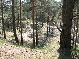 Landschaft in den Weinbergen