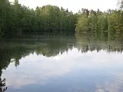 Der Weißensee im Erlenstegener Forst