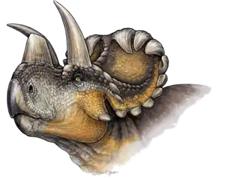 Rekonstruktion des Wendiceratops von Danielle Dufault (2015)