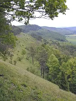 Westhang der Weper (im Vordergrund die Trockenrasen des Naturschutzgebiets „Weper, Gladeberg und Aschenburg“)