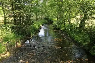 Eifgenbach bei Rausmühle