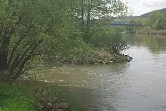 Mündung in Wernfeld