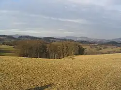 Weschnitzpluton-Höhen mit Schiefer-Diorit-Flasergranitoid-Gabbro-Granit-Ketten (Krehberg–Neunkircher Höhe-Lindenfels), Gumpener Kreuz (WP) und Großes Köpfchen (Trommgranit) im Norden (Panorama: Bilder 1–6)