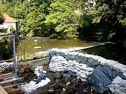 Die Wesenitz bei Lohmen