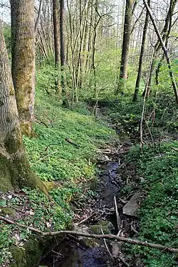 Zweiter Zufluss des Wildenrother Mühlbachs niedriger vom Rainberg nahe bei Hainzendorf