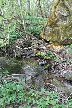 Zweiter Zufluss des Wildenrother Mühlbachs niedriger vom Rainberg nahe bei Hainzendorf