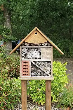 alternative Beschreibung