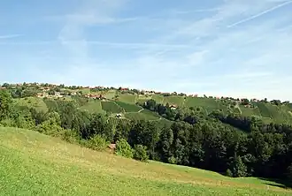 Weingärten im Bereich von Hochgrail