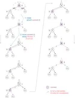 Wirbeltraversierung an einem kleinen Baum vorgeführt.