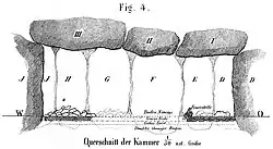 Querschnitt durch die Kammer nach Wibel