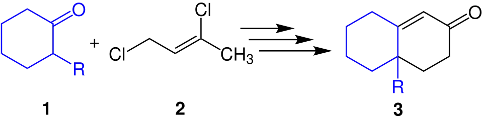 Übersichtsreaktion der Wichterle-Reaktion