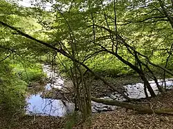 Wiebachtal Mittellauf