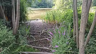 Das RHB Moorflagenteich mit Schnelsener Moorgraben