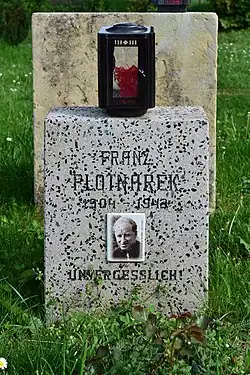 Grab von Franz Plotnarek in Gruppe 40 im Wiener Zentralfriedhof