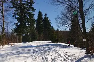 Wierch Gościejów (2022)