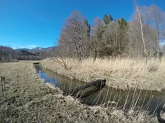 Wiesmahdköchel von Osten mit Ramsach