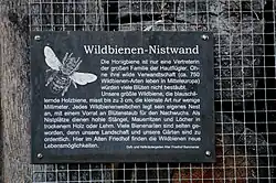Infotafel zur Wildbienen-Nisthilfe