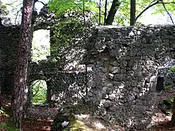 Innenansicht der nordöstlichen Palaswand (September 2011)