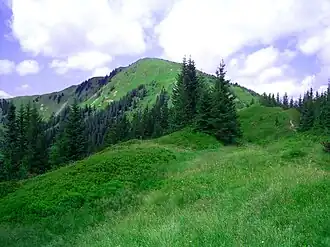 Blick auf das Wildfeld