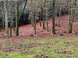 Wildgehege Ehrenberg