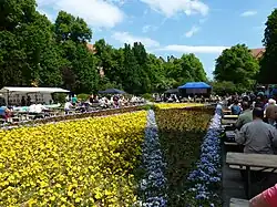 Sommerfest am Rüdesheimer Platz