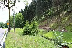 Die Wilzsch am unteren Ortsrand von Carlsfeld