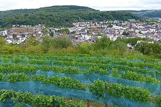 Wingert auf dem Merziger Kreuzberg