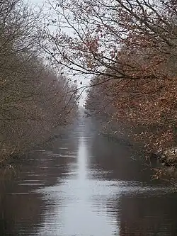 Der zugewachsene Kanal im Winter