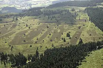 Westlicher Teil der Niedersfelder Hochheide aus der Luft