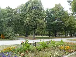 Wittelsbacherpark