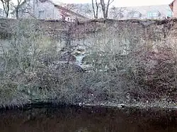 Die Kalksteinwand im Tiergehege