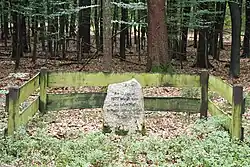 In der Bildmitte ein am unteren Rand mit Moos bewachsener hellgrauer Stein, auf dem steht: „Am 13. Januar 1872 wurde hier der letzte Wolf in Niedersachsen erlegt. A. D. J. V.“; dahinter Wald