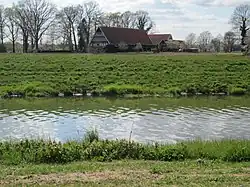 Hase unmittelbar südlich der Dinklager Straße in Wulften