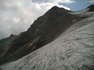 Wurmtaler Kopf vom Rifflferner