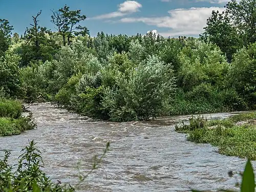 Flussmündung der Wyna in die Suhre bei Suhr