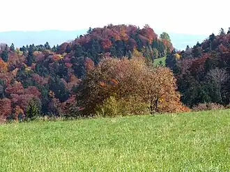 Gipfelbereich im Herbst