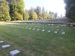 alternative Beschreibung