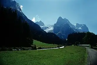 Rosenlauigletscher, Klein und Gross Wellhorn im Sommer