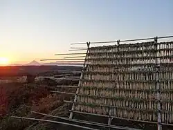 Daikon-Trocknung, 2012