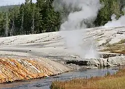 Farbfotografie einer heißen Quelle an einem Felsenufer mit einem kleinen Flussverlauf am unteren Bildrand. Im Hintergrund ist ein riesiger Wald zu sehen.