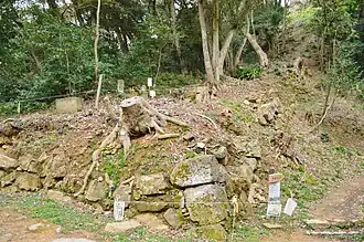 Reste von Burgmauern