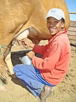 Die Nama waren traditionell nomadische Wanderhirten