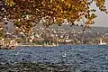 Zürichsee beim Bahnhof Tiefenbrunnen