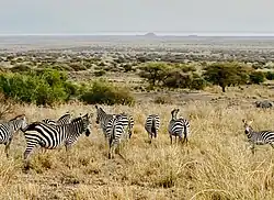 Landschaft in Gelai Lumbwa