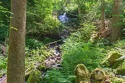 Die vom Schuhlochbach gespeisten Atzenbacher Wasserfälle im Mai 2018.