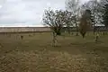 Lagerfriedhof in der Gedenkstätte Mauthausen